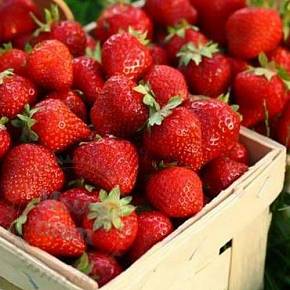 Купить Ароматизатор пищевой Farmer's Market Sweet Strawberry, 1 литр в Украине
