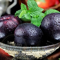 Отдушка Sparkling Plum, 1 литр