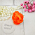 Ranunculus head large 4 cm, orange, photos, reviews, use