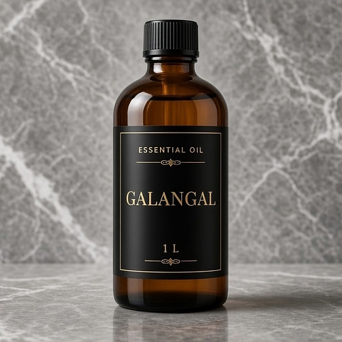 Essential oil Galangal 1 L cosmetic ingredient Mylo Opt