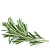 Flavoring food Rosemary, 1 liter, photos, reviews, use