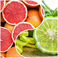 Fragrance Oil Grapefruit and bergamot, 100 ml