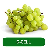 G-CELL, 1 liter