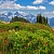 Dry granular Fragrance Oil Alpine Meadow, 1 kg, photos, reviews, use