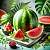 Fragrance Oil Watermelon, 10 ml, photos, reviews, use