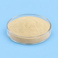 Bacillus Subtilis Probiotic Powder 1 кг