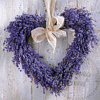 Lavender love Fragrance Oil, 1 l