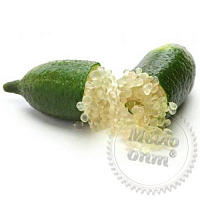 Lime Pearl, 100 мл