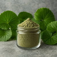 Gotu Kola Ayurvedic Powder 100 g