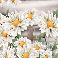 Fragrance Oil Chamomile, England, 1 liter