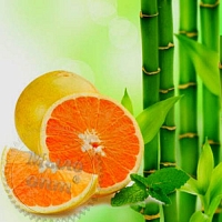 Bamboo and White Grapefruit Fragrance Oil, 1 L