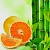 Bamboo and White Grapefruit Fragrance Oil, 1 L, photos, reviews, use