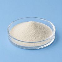 SymWhite 377 Powder, 100 гр артикул VV26090407