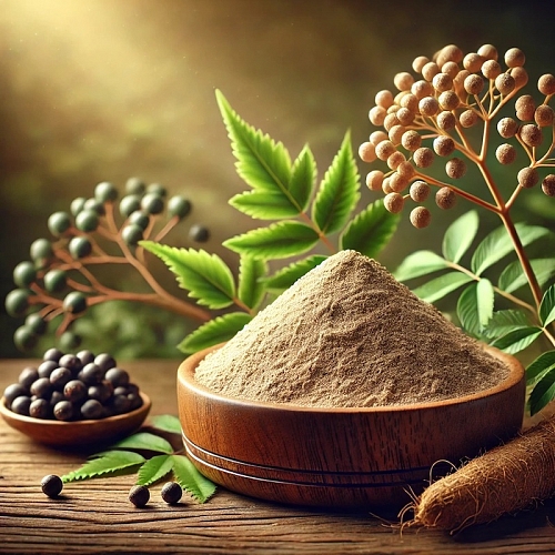 Aralia Extract Powder 1 kg, 811.50 UAH, rating ⭐⭐⭐⭐⭐ Milo Opt