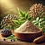 Aralia Extract Powder 1 kg, photos, reviews, use