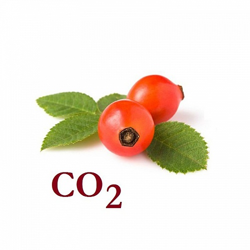 Rosehip CO2 extract, 1 kg, photos, reviews, use