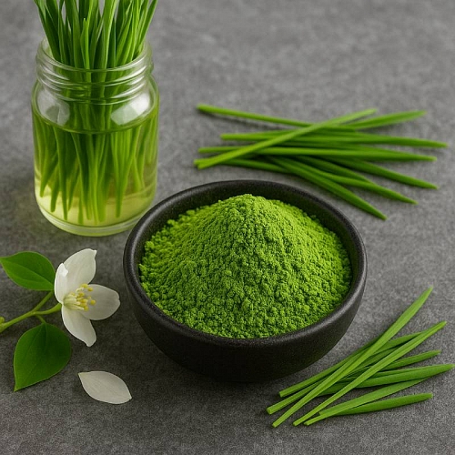 Порошок ростков Пшеницы, 1 кг