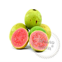 Fragrance Oil Sweet Guava, 10 ml