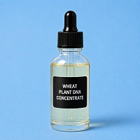 Wheat Plant DNA Concentrate 50 ml cosmetic ingredient Mylo Opt