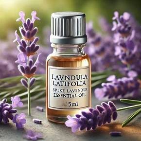 Купить Эфирное масло Lavandula latifolia, 5 мл в Украине