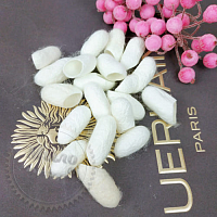 Silkworm cocoons from 100 pieces