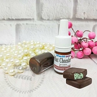 Flavoring food Mint Chocolate, 5 ml