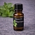 Mint essential oil 10 ml cosmetic ingredient Mylo Opt