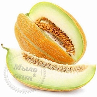 Flavor for milk products Melon, 1 L