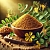Fenugreek Extract Powder 1 kg cosmetic ingredient Mylo Opt