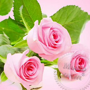 Купить Отдушка Свежесрезанные розы, 50 мл в Украине