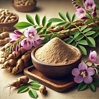 Сухой экстракт Копеечника, 1 кг описание и применение