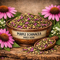 Echinacea purpurea dried flowers 10 kg cosmetic ingredient Mylo Opt