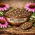 Echinacea purpurea dried flowers 10 kg cosmetic ingredient Mylo Opt