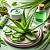 Aloe Fragrance Oil, 1 liter, photos, reviews, use