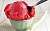 Купить Ароматизатор пищевой Strawberry sorbet, 5 мл в Украине