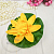 Latex water lily 9 cm, water lily, yellow, photos, reviews, use