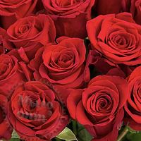 Fragrance FRAGRANCE OF FLOWERS 737 (Rose) 1 L cosmetic ingredient Mylo Opt