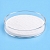 Biotin-GHK, 100 гр артикул VV25040105