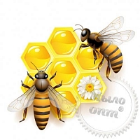 Tincture of Bee Podmore, Good Medic, rating ⭐⭐⭐⭐⭐, 125.00 UAH – Milo Opt, worldwide delivery