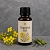 Rapeseed Oil 100 ml cosmetic ingredient Mylo Opt