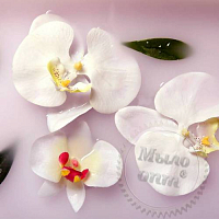 Отдушка Blushing Orchid, 1 л