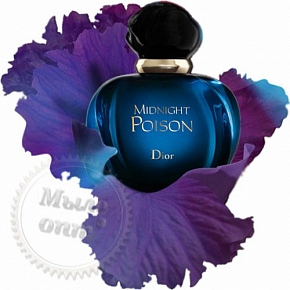 Купить Отдушка Midnight Poison, C. DIOR, 20 мл в Украине