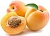 Flavor for drinks Apricot, 1 liter, photos, reviews, use