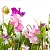 Fragrance Oil Sweet Pea 1 L cosmetic ingredient Mylo Opt