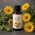 Arnica extract 50 ml cosmetic ingredient Mylo Opt