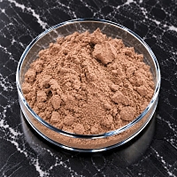 Экстракт Ацеролы сухой 5%, 1 кг артикул K50198