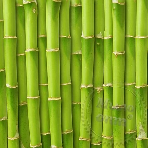 Купить Отдушка Fresh Bamboo, 1 литр в Украине