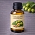 Tamanu oil (Lavra of Alexandria) 1 L cosmetic ingredient Mylo Opt