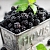 Blackberry Fruit Extract Powder 100 g, photos, reviews, use