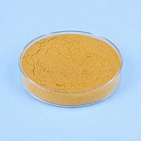 Protease Powder 100 г